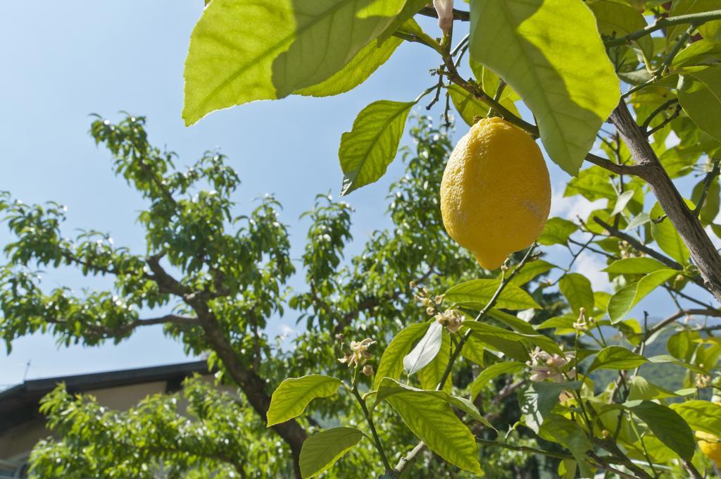 Ferienwohnungen Atz Termeno Exterior foto